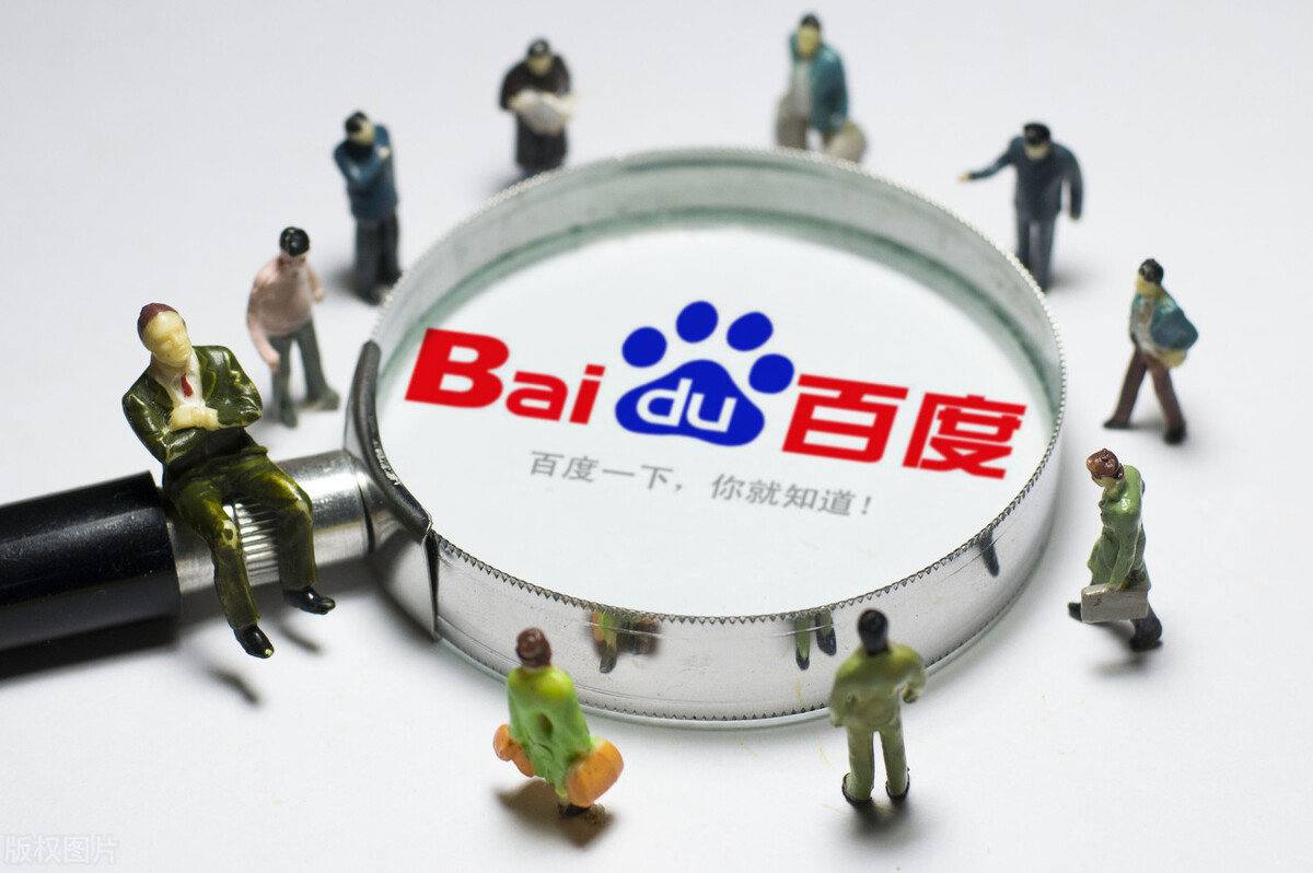 找人上门喂猫缅因掉下楼